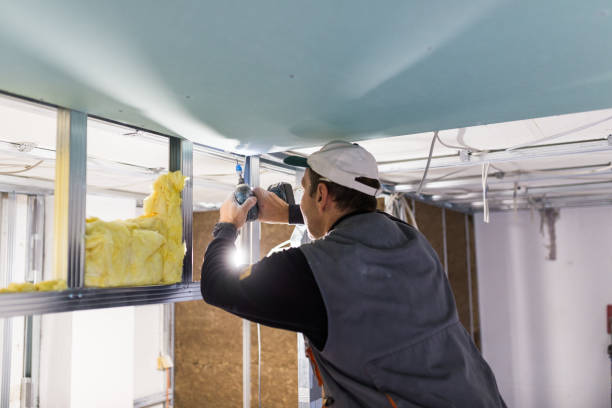 Best Insulation Repair Services  in Kean University, NJ