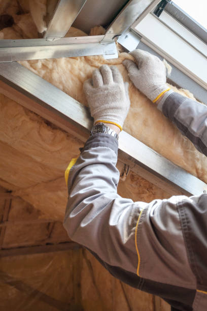 Best Local Insulation Services  in Kean University, NJ